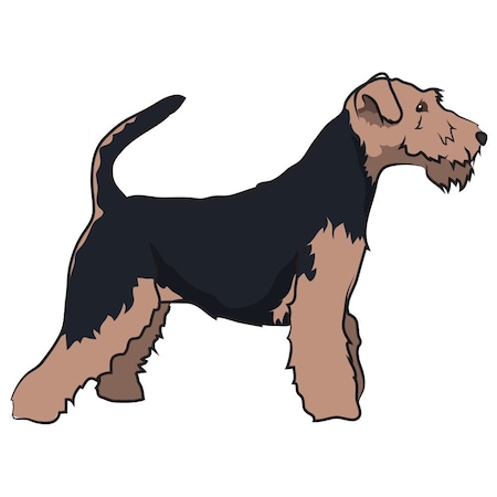 Signmission Welsh Terrier Dog Decal, Dog Lover Decor Vinyl Sticker D-12-Welsh Terrier